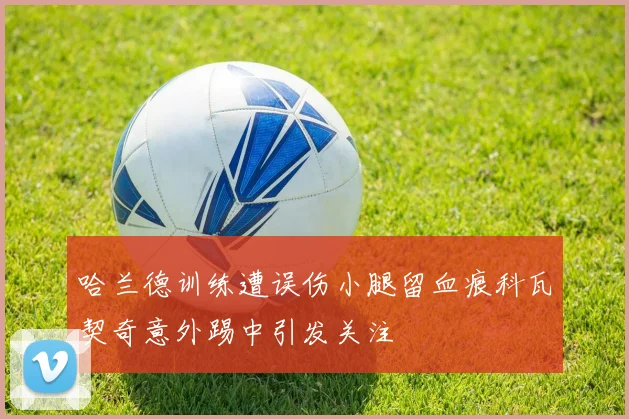 哈兰德训练遭误伤小腿留血痕科瓦契奇意外踢中引发关注